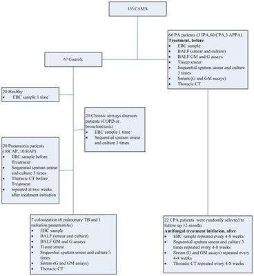 Metabolomic profiling of <mark class="highlighted">exhaled breath condensate</mark> for the diagnosis of pulmonary aspergillosis